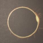 New moon solar eclipse