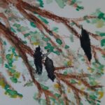 The Quietest of the Corvids